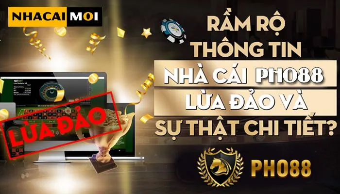 Đối chiếu thông tin thay vì suy đoán - 24N