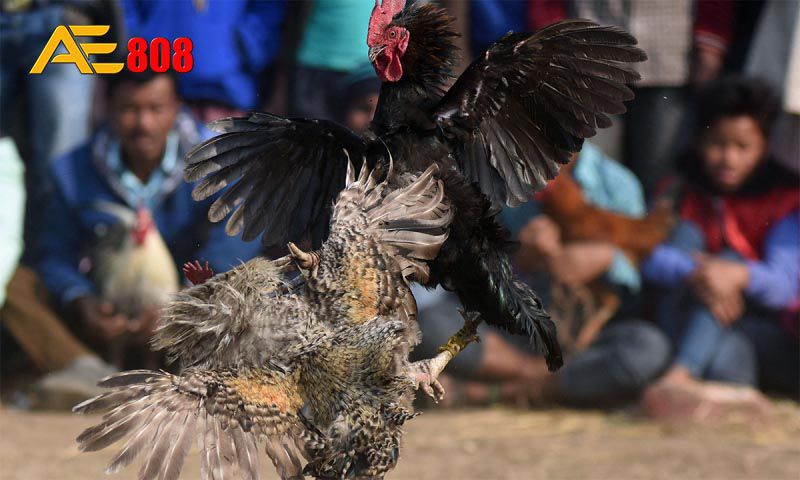 Hình minh họa — Lucky88